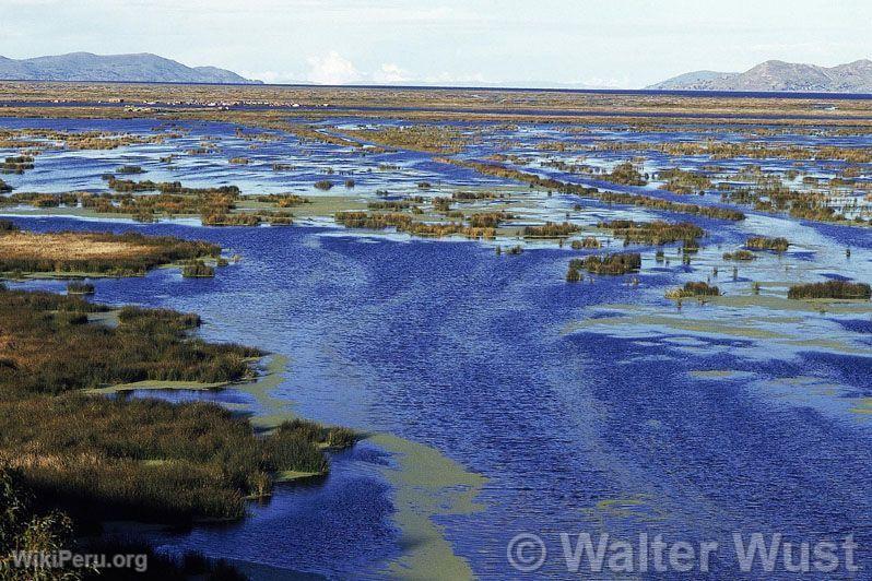 Lac Titicaca