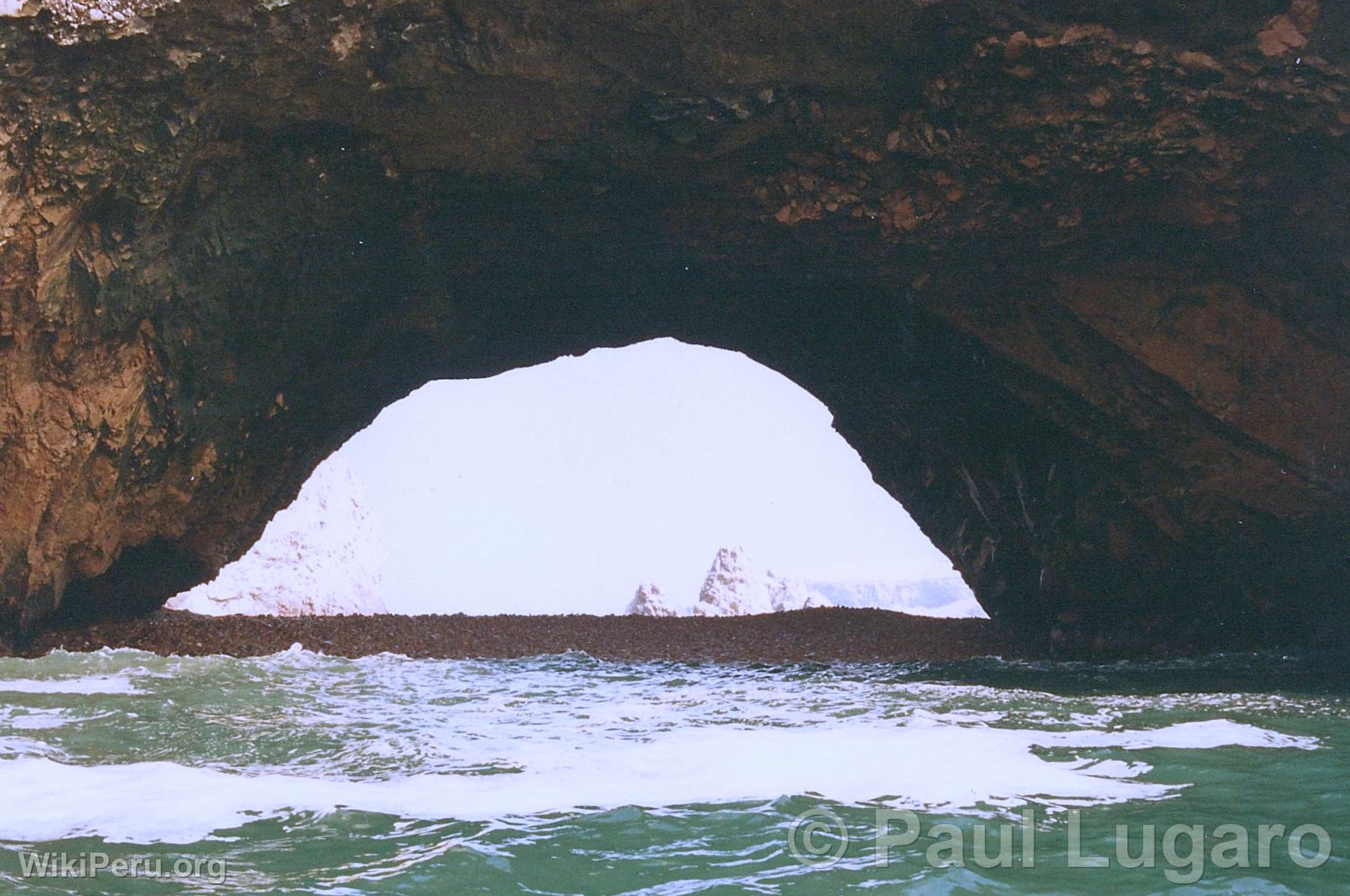 Iles Ballestas, Paracas