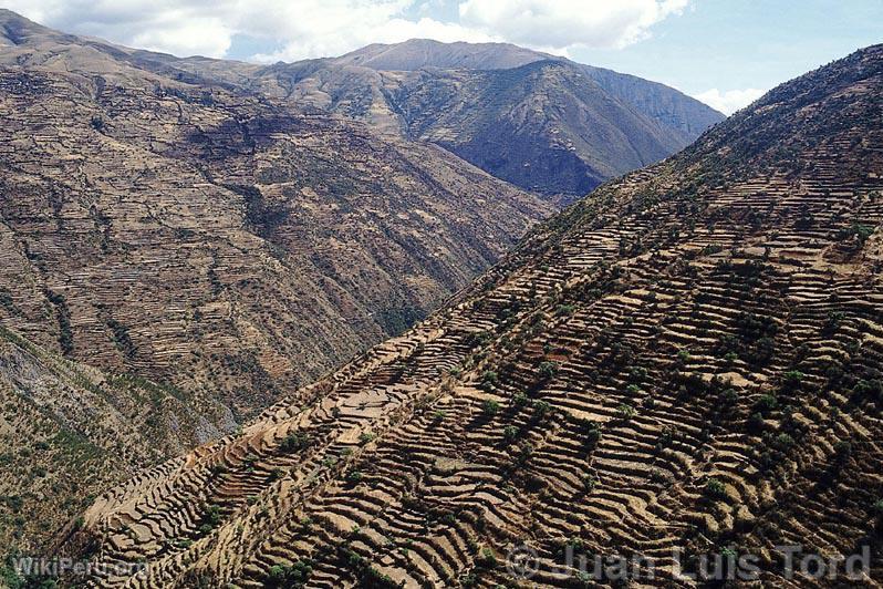 Chemin vers Sabayno