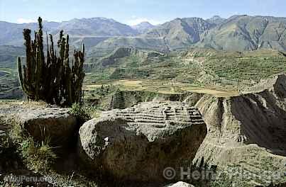 Canyon de Colca