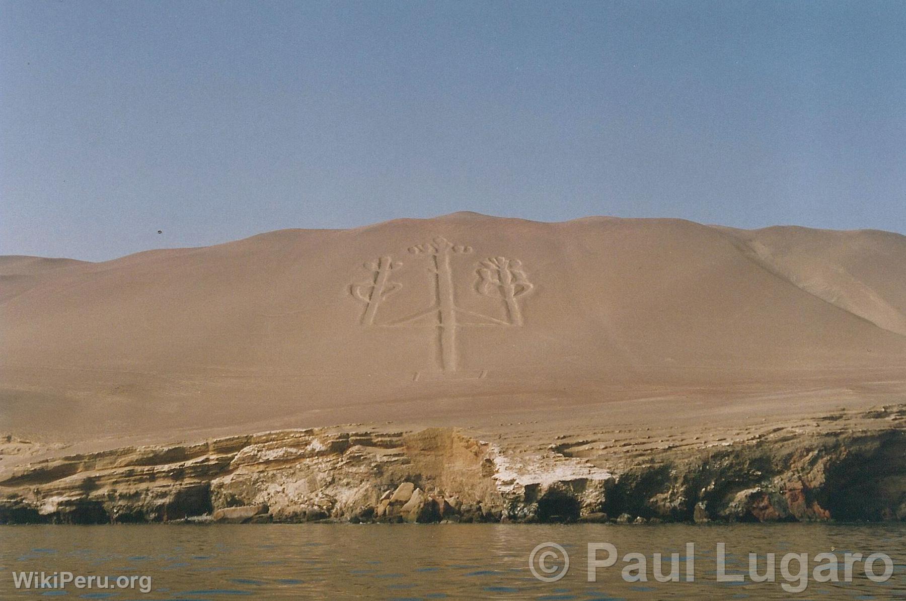 Iles Ballestas, Paracas