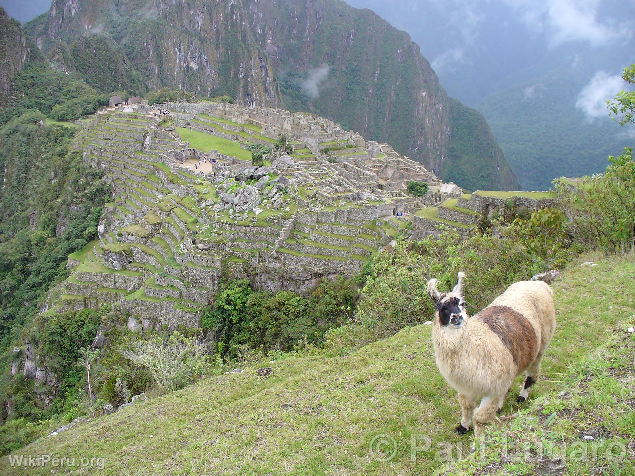 Machu Picchu