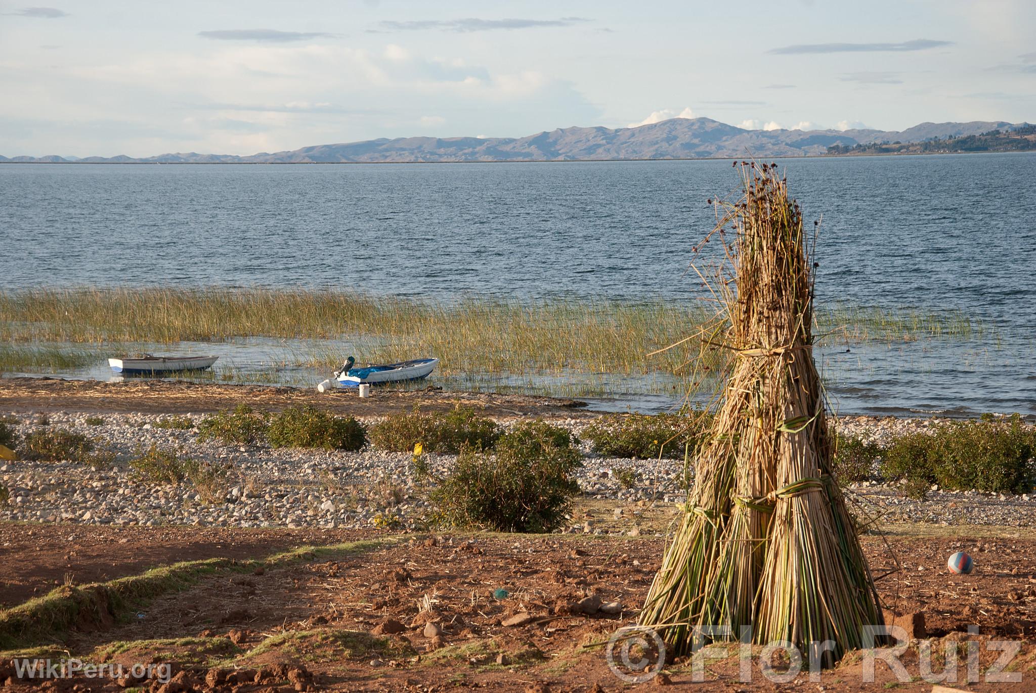 Communaut de Luquina Chico et du lac Titicaca