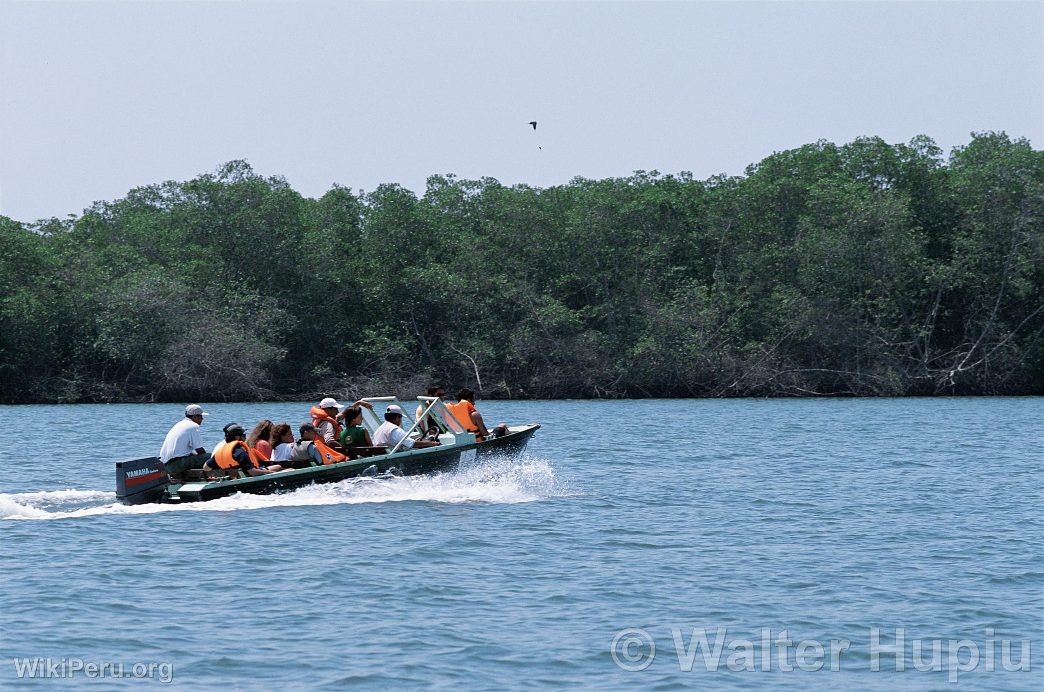 Touristes dans les mangroves de Tumbes