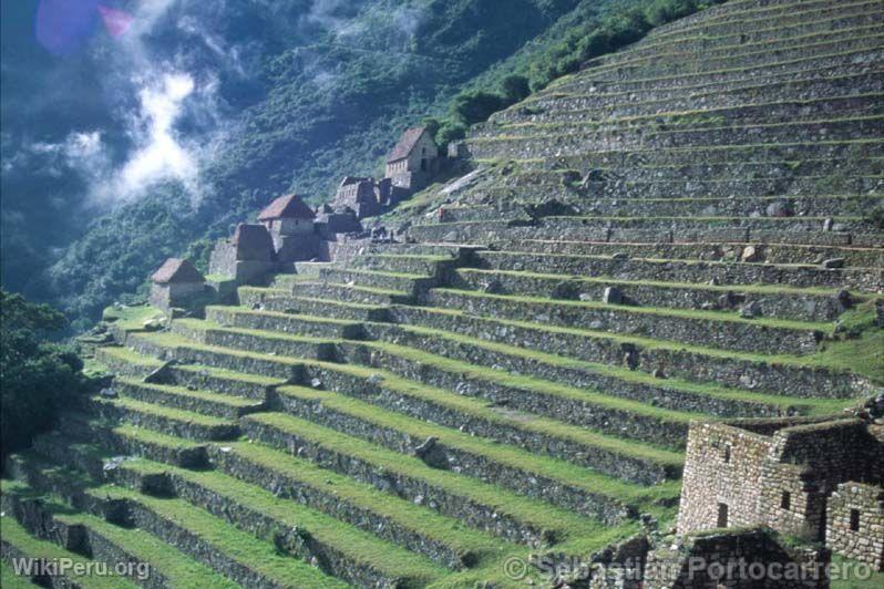 Terrasses  Machu Picchu