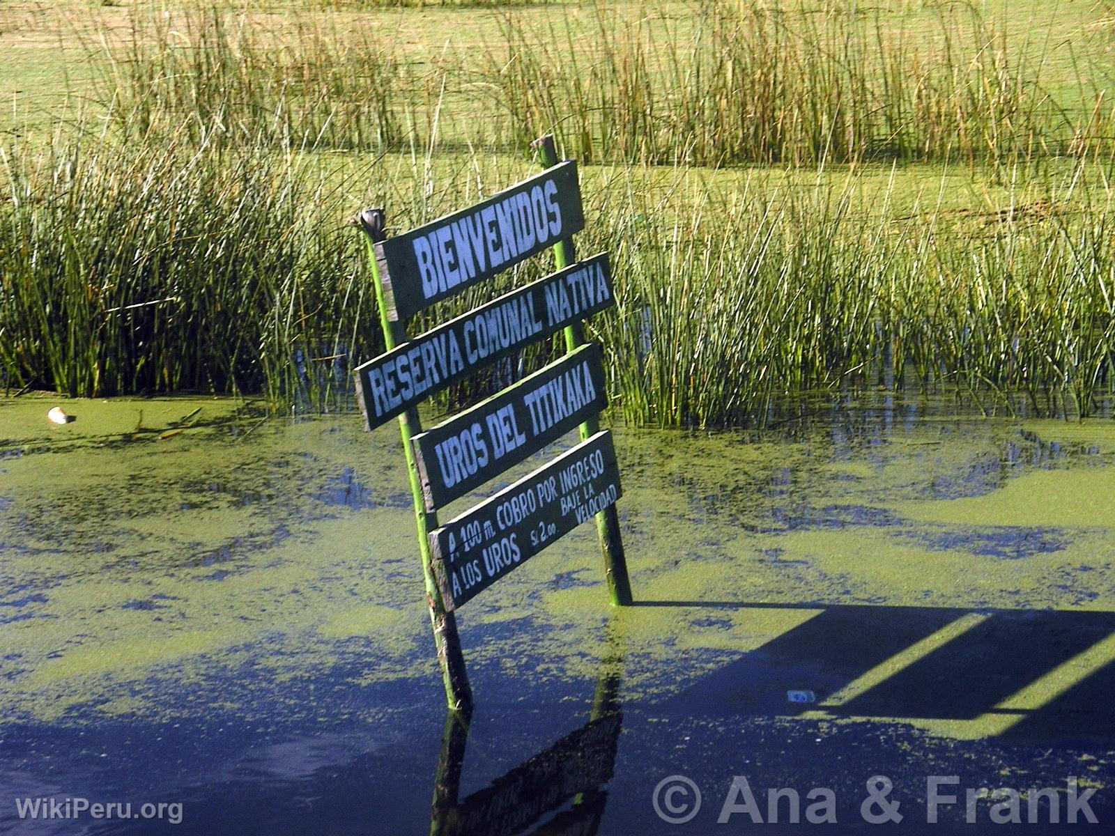 Entre  la Rserve des Uros