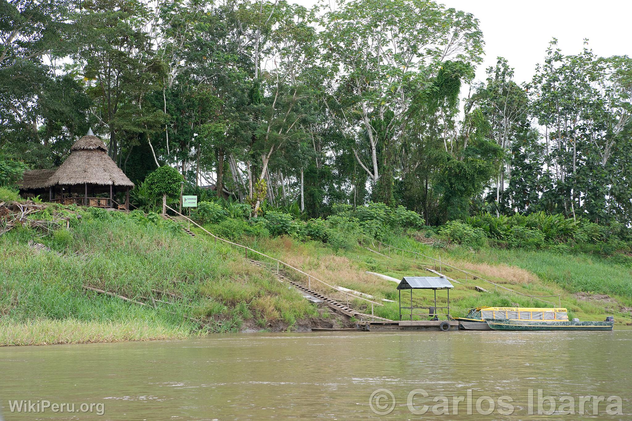 Berges de l'Amazone