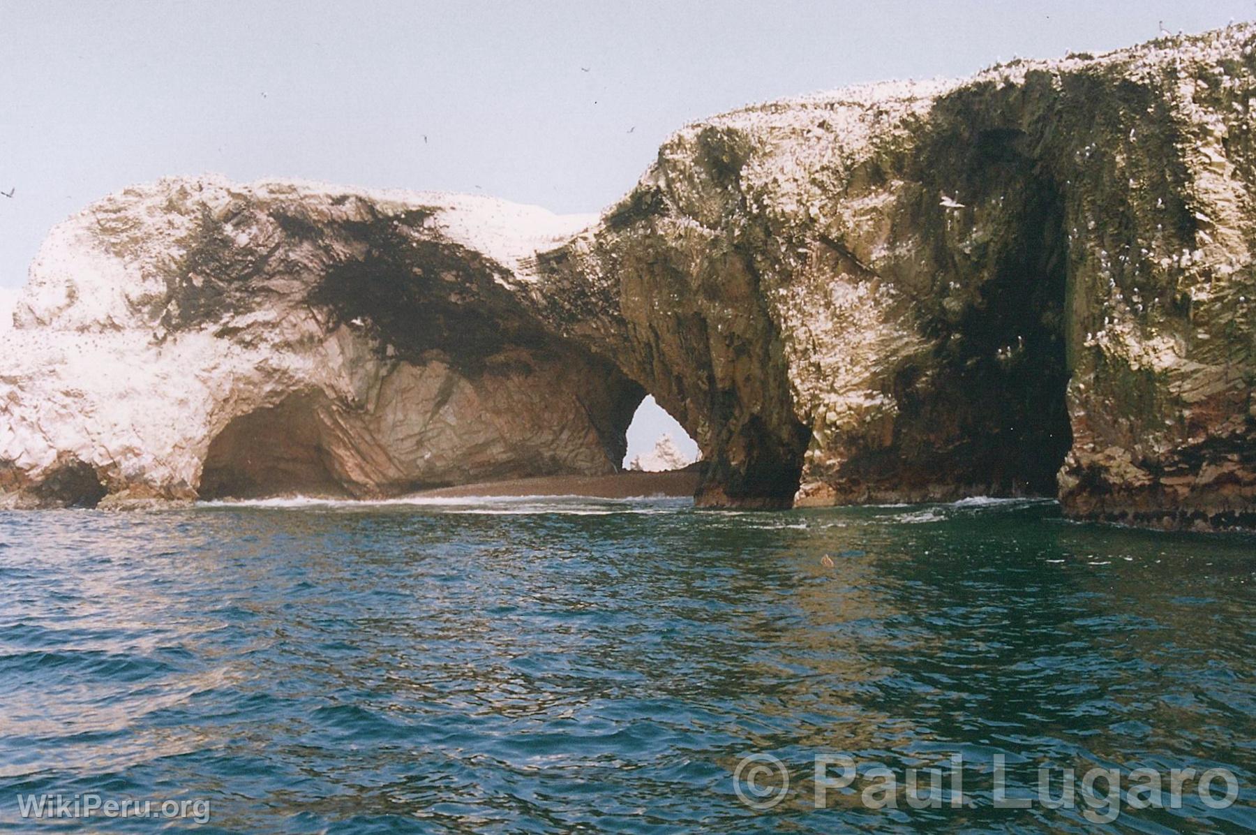 Iles Ballestas, Paracas