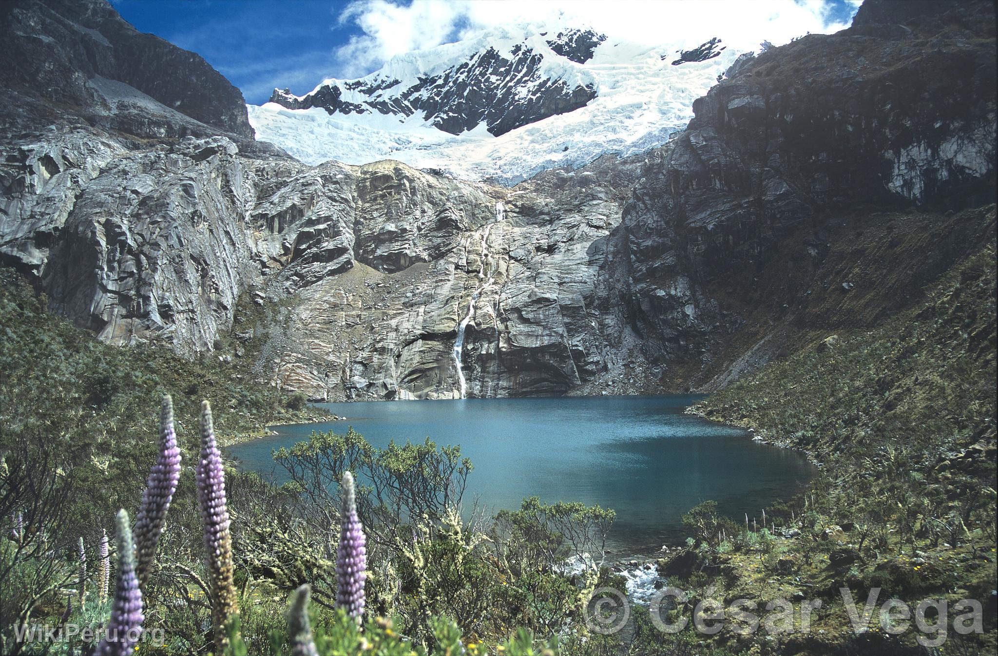 Lagune et glacier Maparaju