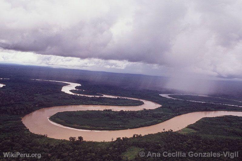 Vue arienne du fleuve Amazone