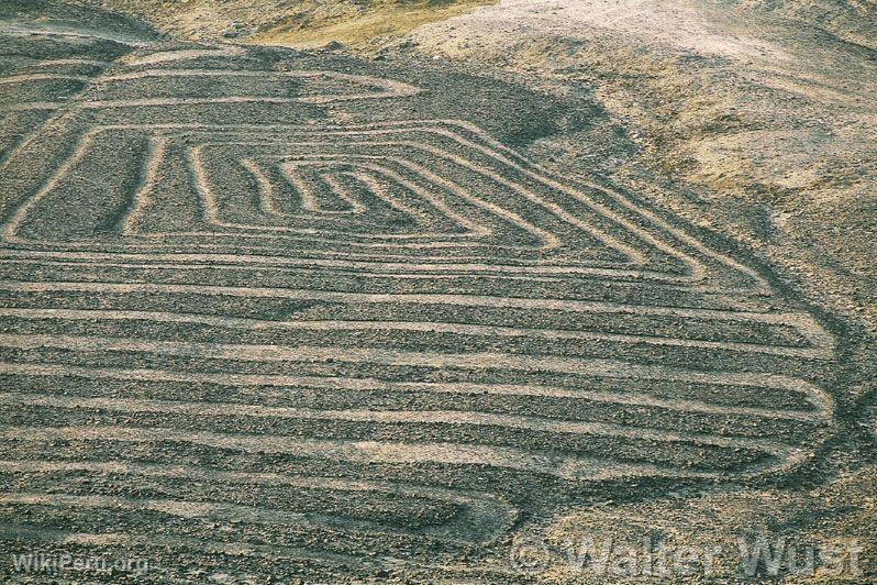 Goglyphes, Nazca