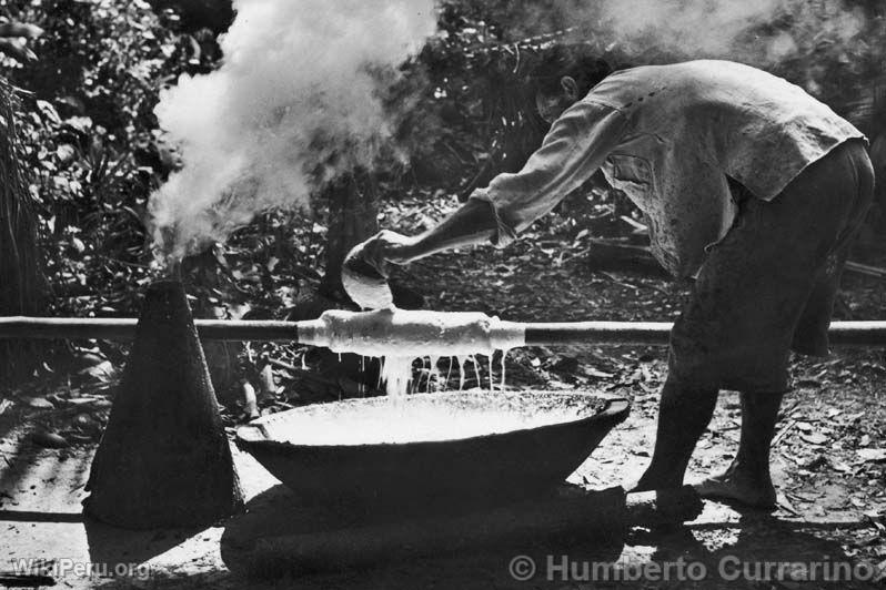 Rcolteur de caoutchouc