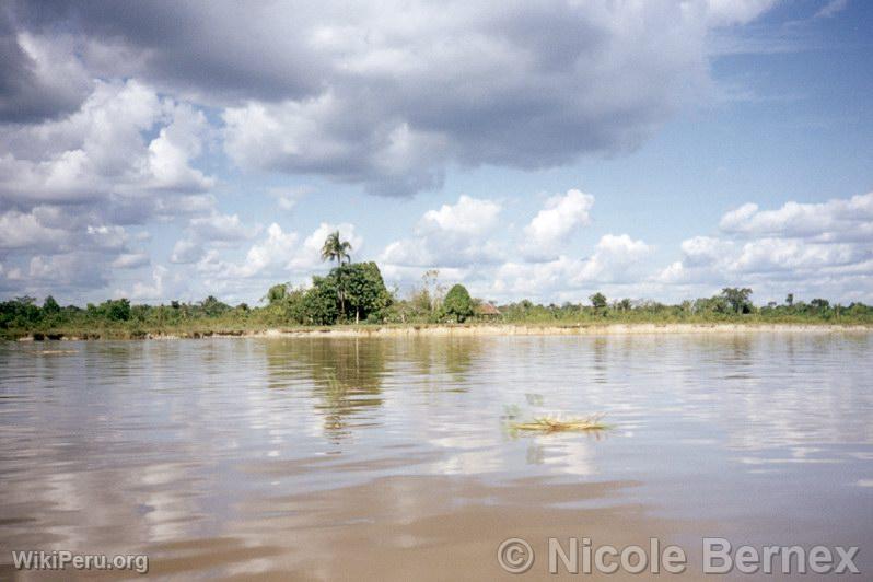 Fleuve Amazone