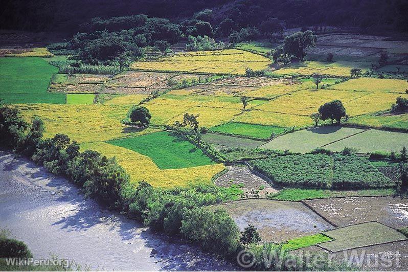 Rivire Huancabamba