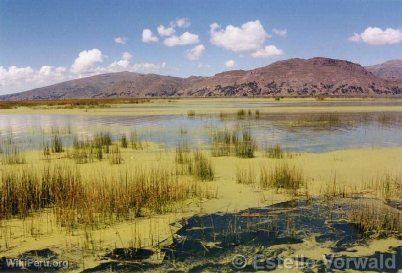 Lac Titicaca