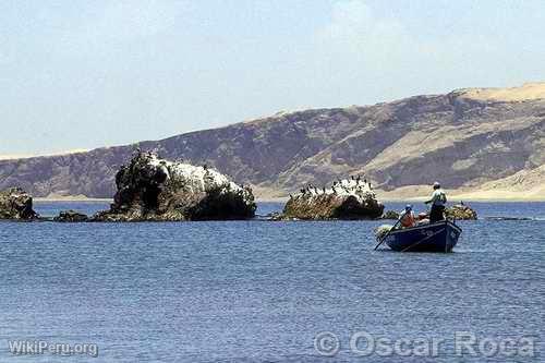 Littoral de Pisco