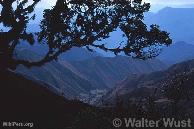 Parc National de Cutervo