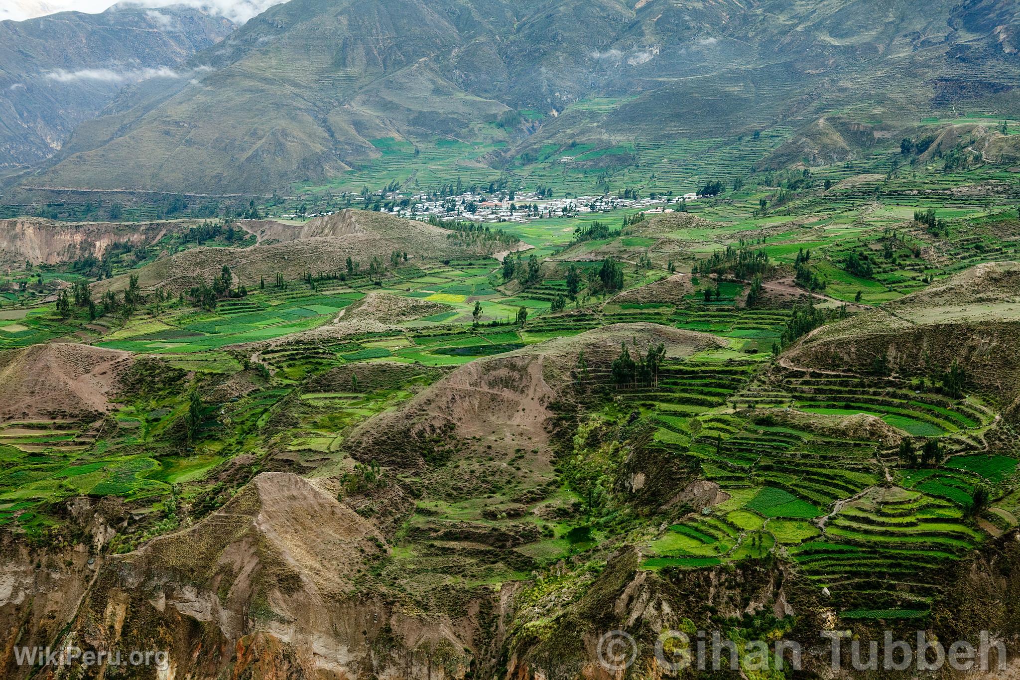 Canyon de Colca