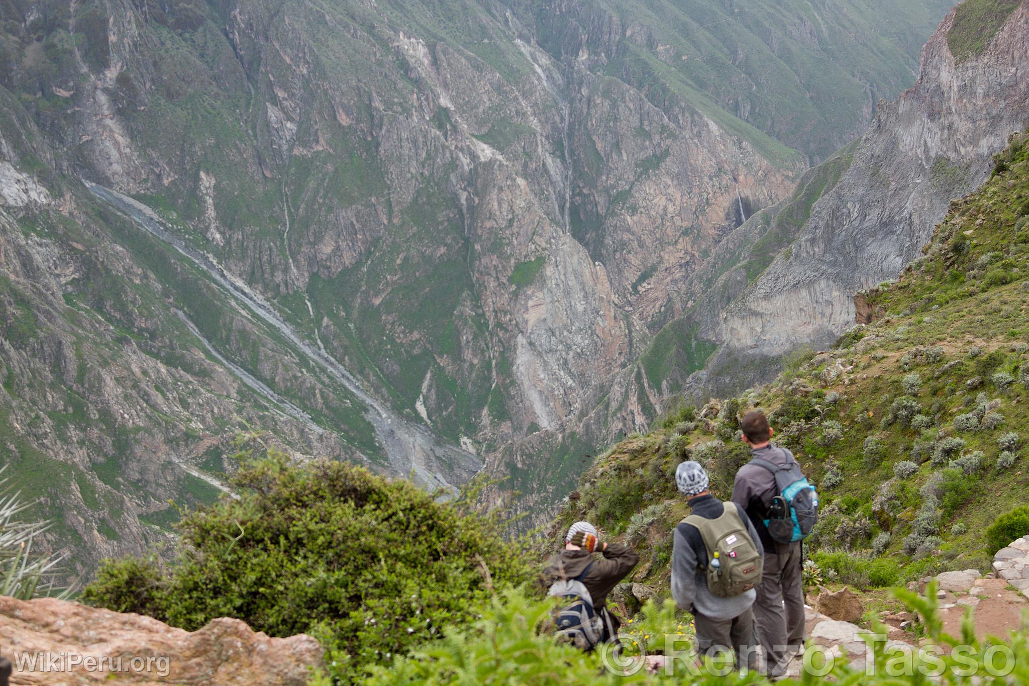 Touristes dans le Colca