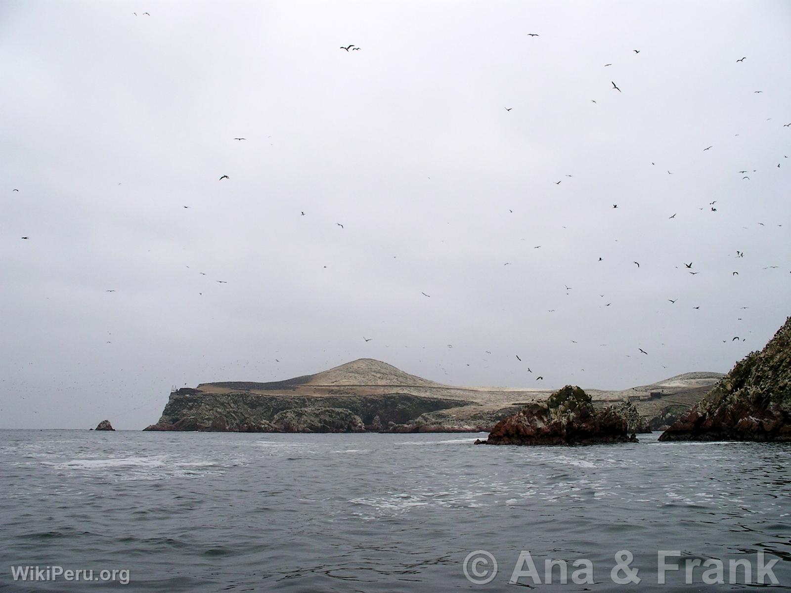 Paracas