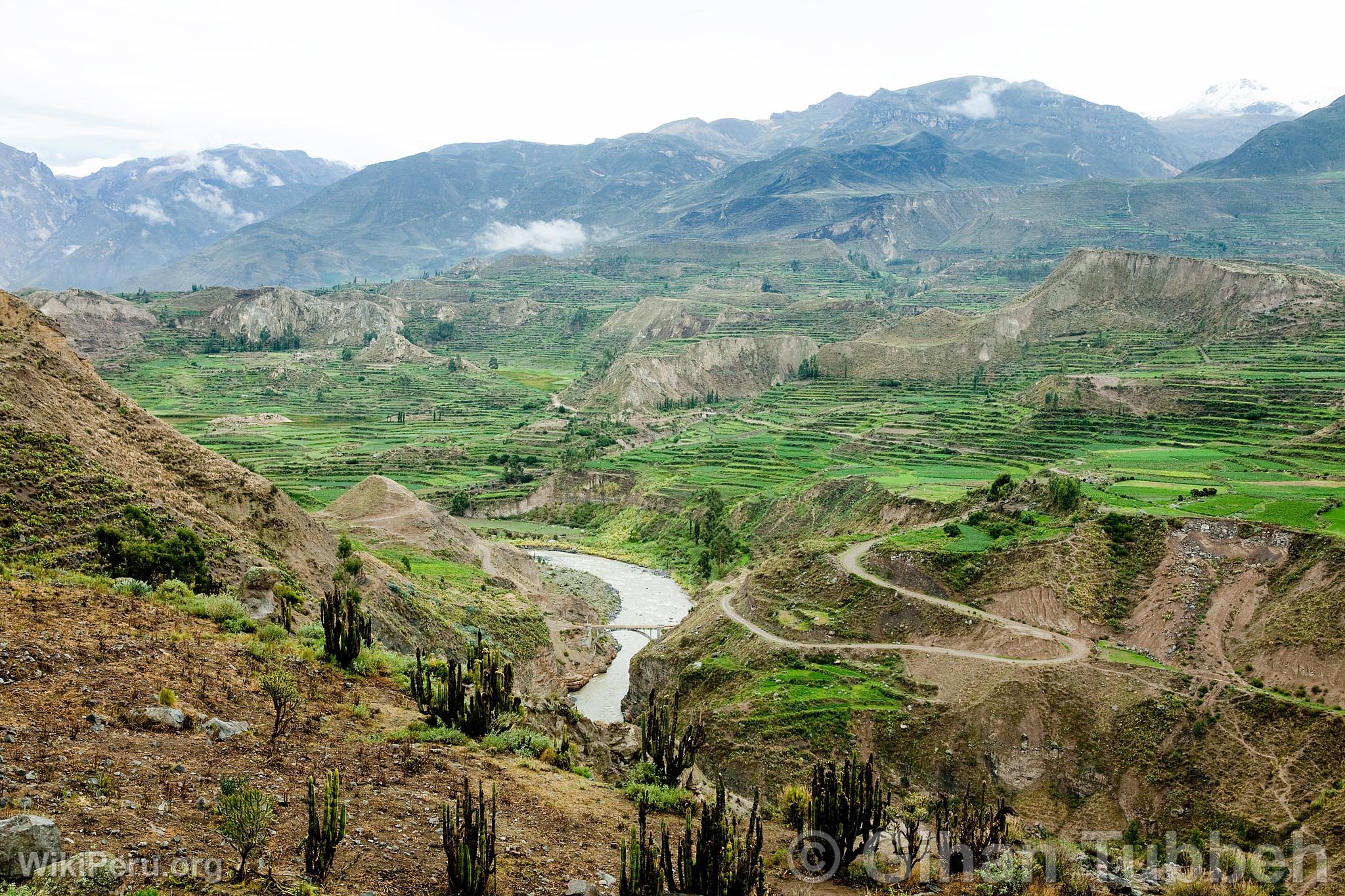 Canyon de Colca