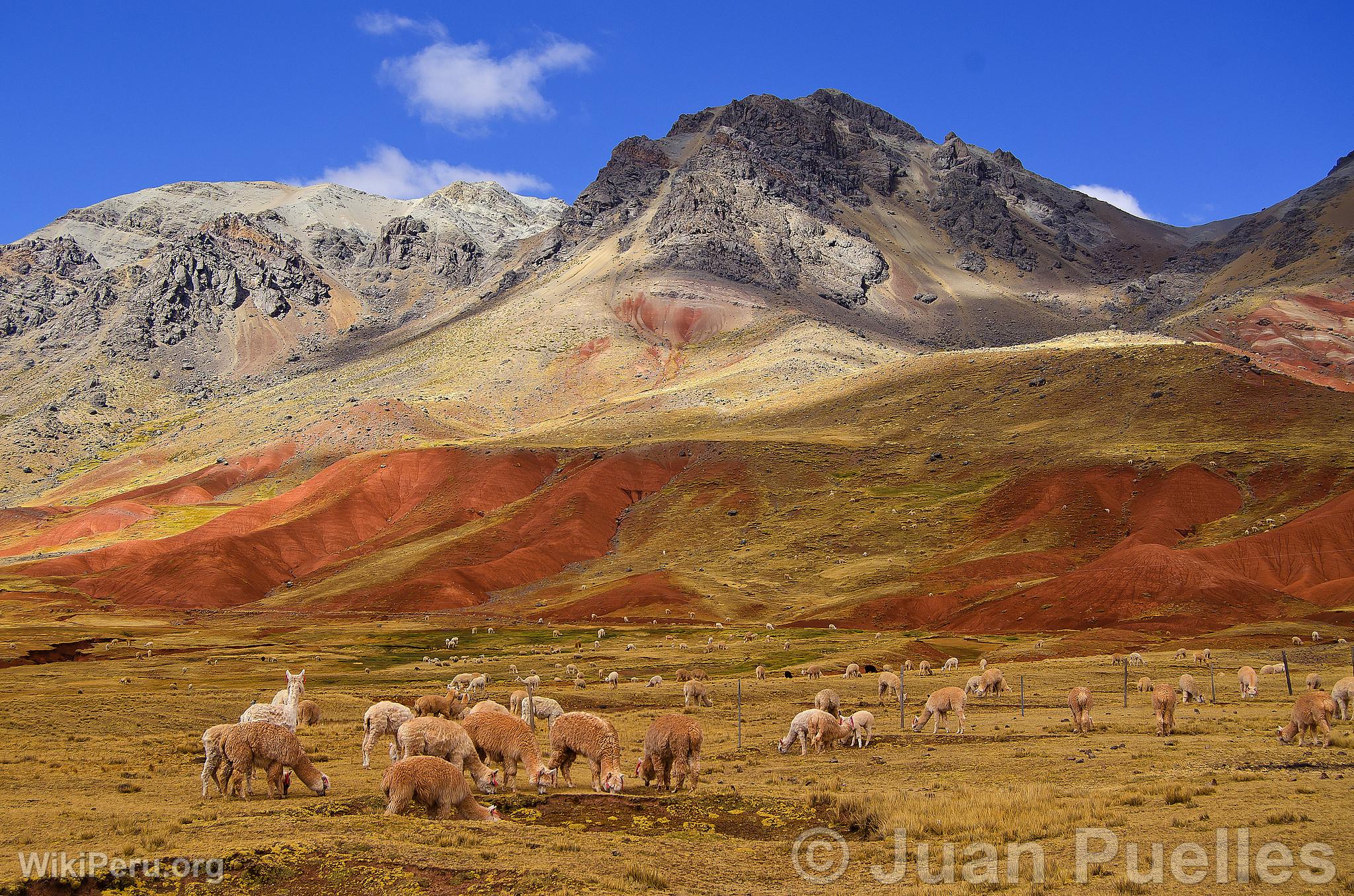 Paysage de Pucapampa