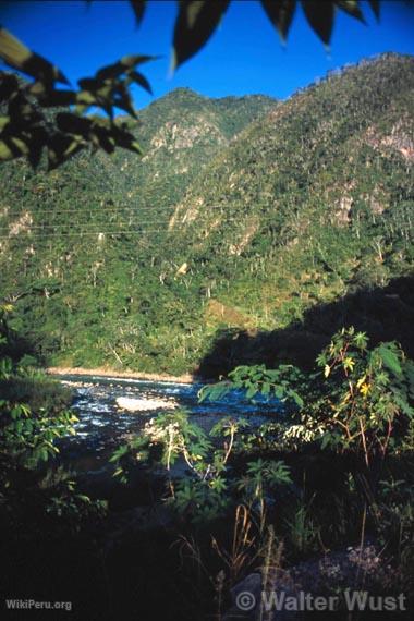 Fort tropicale, Puerto Inca