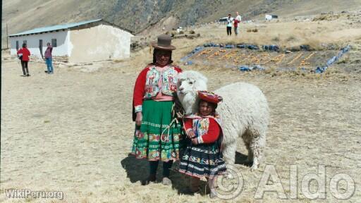 Voyage Puno-Cuzco en train