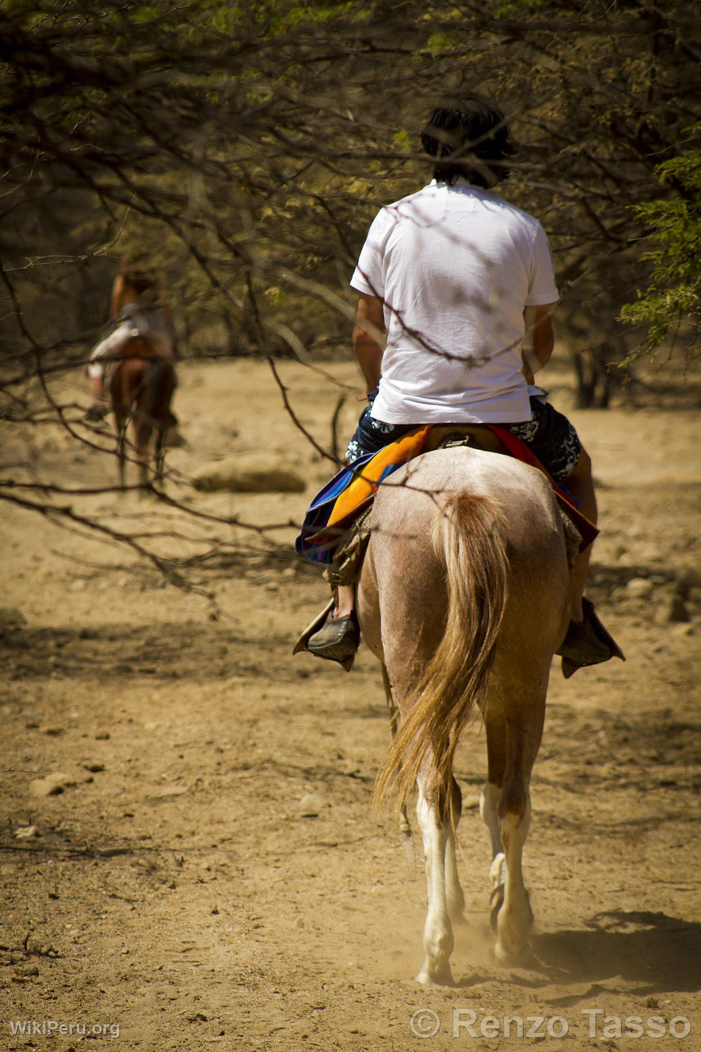 Balade  Cheval, Mncora