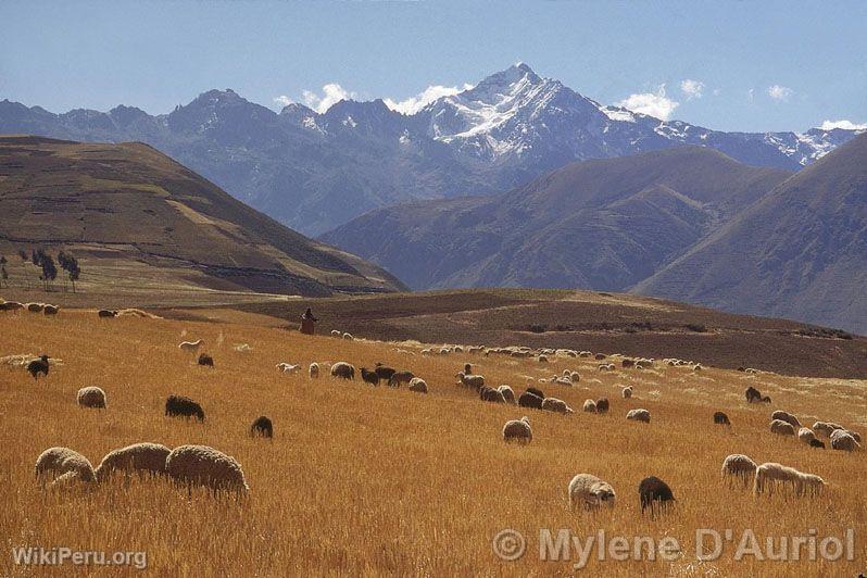 Route vers Moray. Urubamba