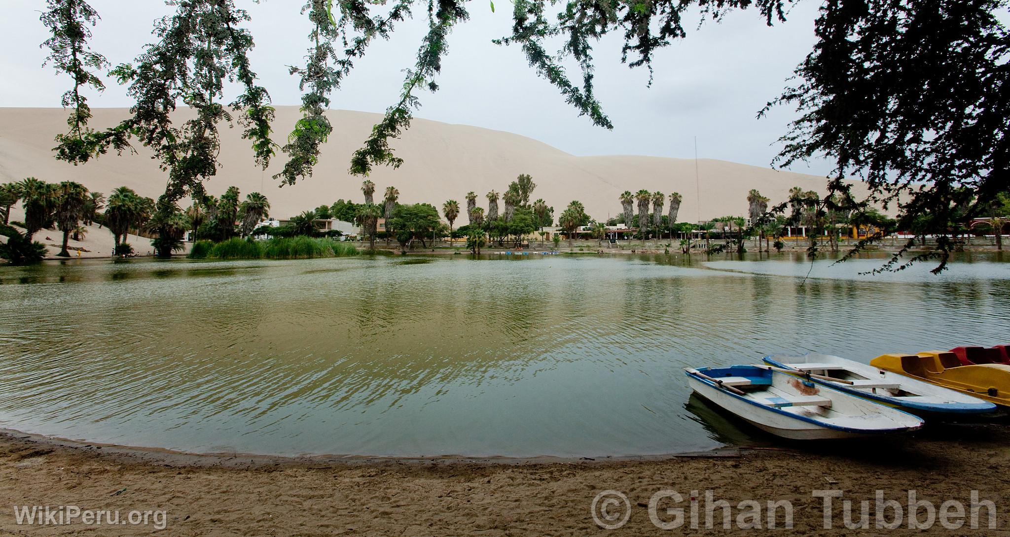 Lagune de Huacachina