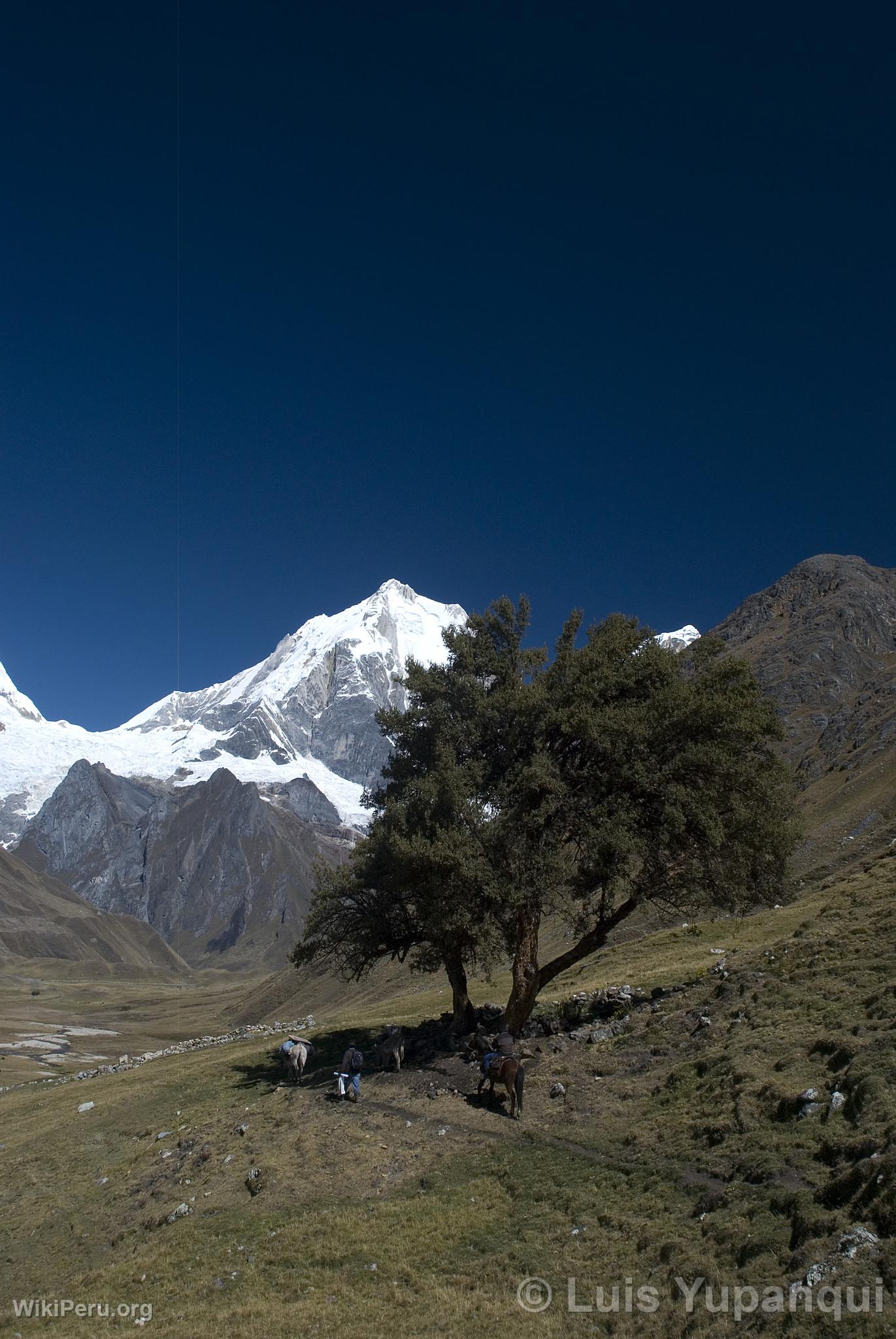 Cordillre de Huayhuash