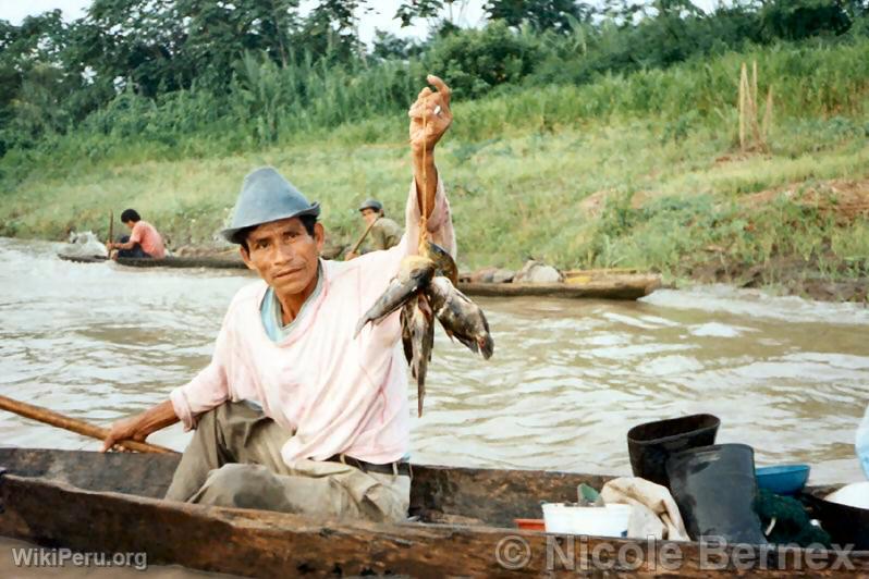 Pcheur sur le fleuve Ucayali