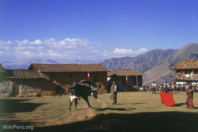 Fte Yawar (Apurimac)