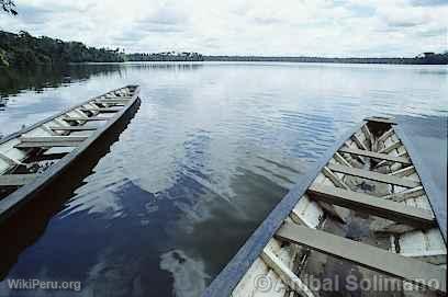 Lac Sandoval, Manu