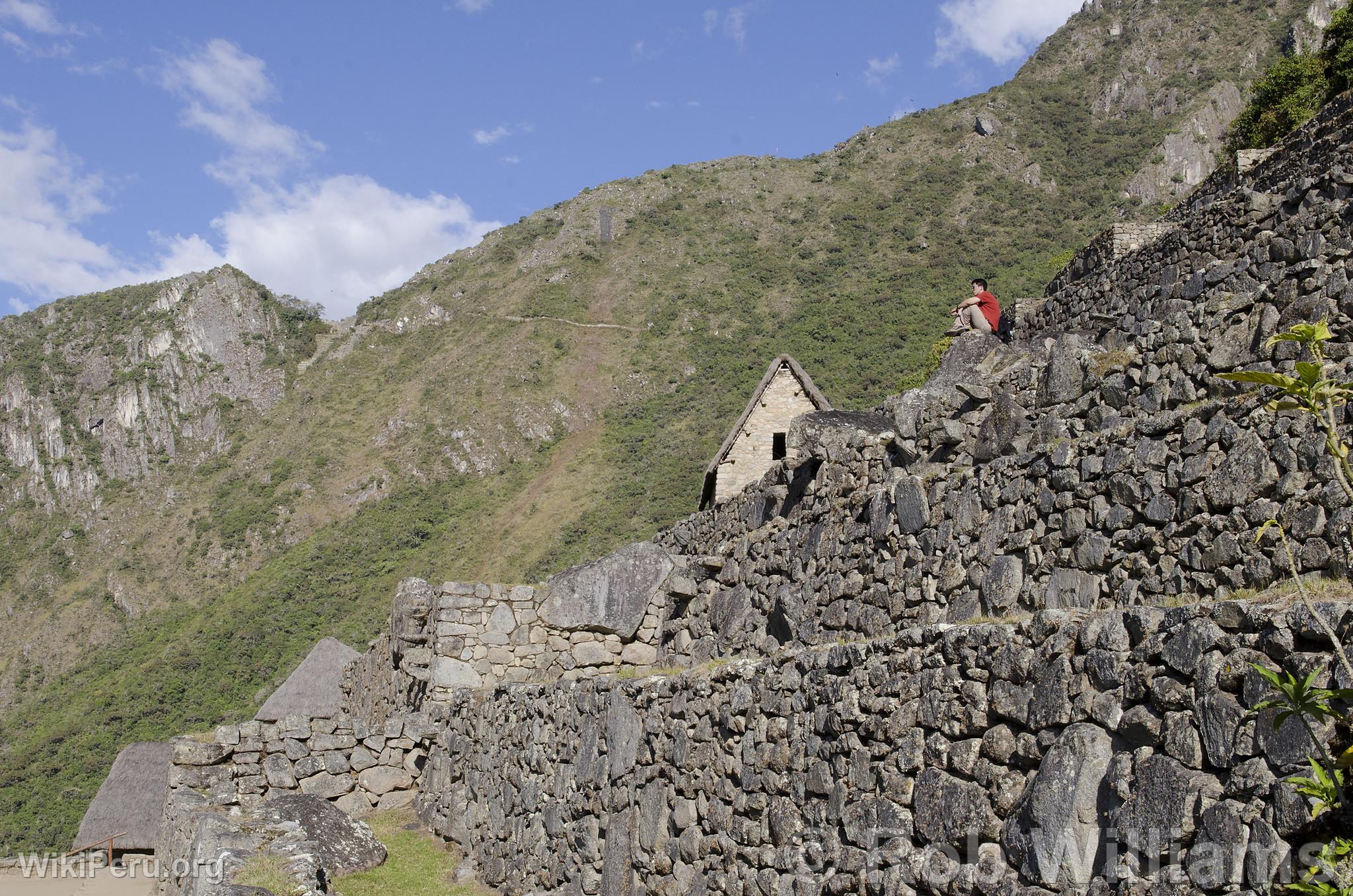 Touriste  Machu Picchu