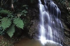 Chutes d'eau  Moyobamba