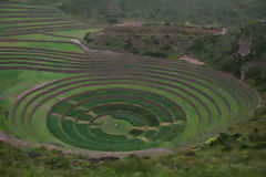 Site archologique de Moray