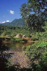 Collines dans la jungle de Loreto