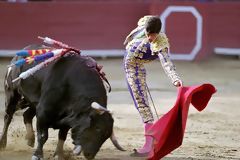 Corrida de taureaux, Lima