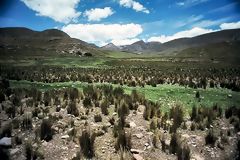 Paysage de Pramo  Huancavelica