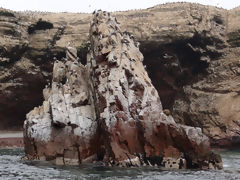 Iles Ballestas, Paracas