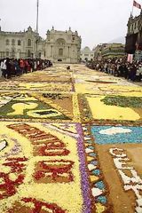 Tapis de fleurs, Lima