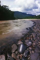 Parc National Bahuaja-Sonene