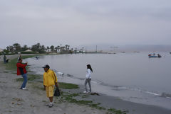 Baie de Paracas