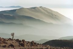 Rserve Nationale de Pampa Galeras, Ayacucho