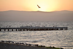 Htel Libertador de Paracas