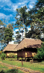 Albergue  Iquitos