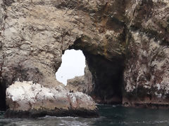 Iles Ballestas, Paracas