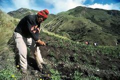 Agriculteur avec chaquitaclla, Calquichico